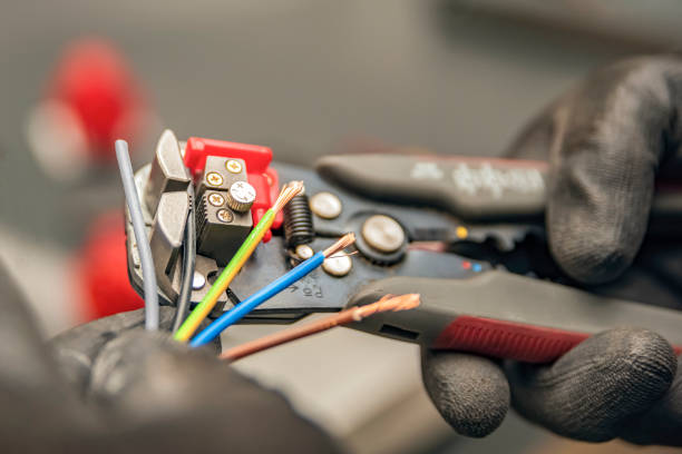 Best Affordable Electrician  in The Meadows, FL