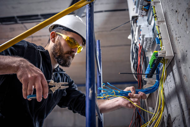 Best Electrical Rewiring Services  in The Meadows, FL