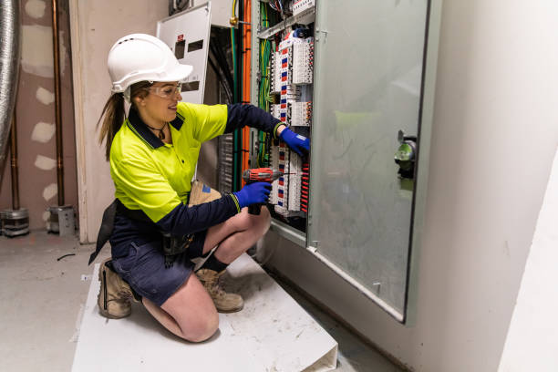 Best Electrical Troubleshooting Services  in The Meadows, FL