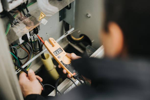Best Ceiling Fan Installation Electrician  in The Meadows, FL