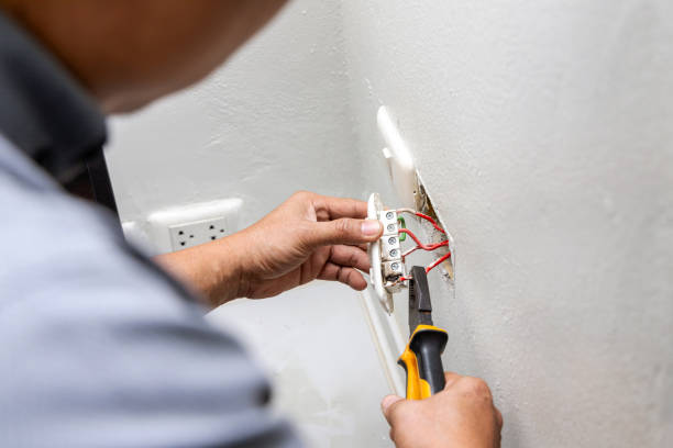 Best Commercial Electrician Services  in The Meadows, FL