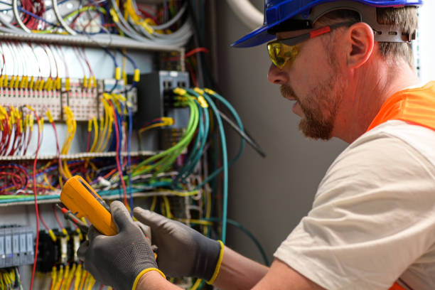 Best Home Electrical Repair  in The Meadows, FL