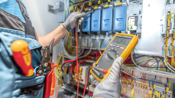 Best Licensed Electrician  in The Meadows, FL