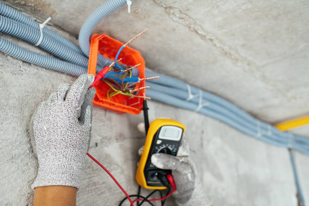 Best Circuit Breaker Repair  in The Meadows, FL