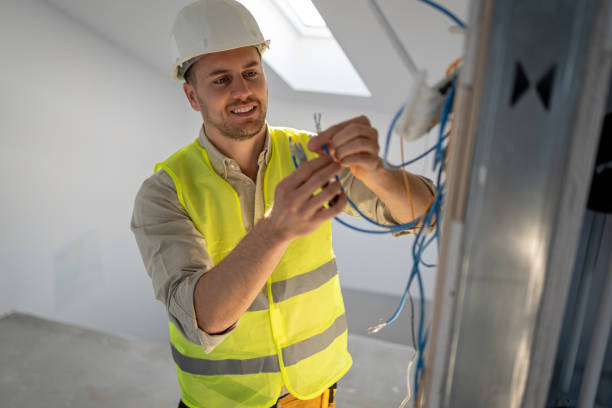 Best Electric Panel Repair  in The Meadows, FL