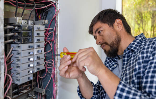 Best Electric Panel Repair  in The Meadows, FL